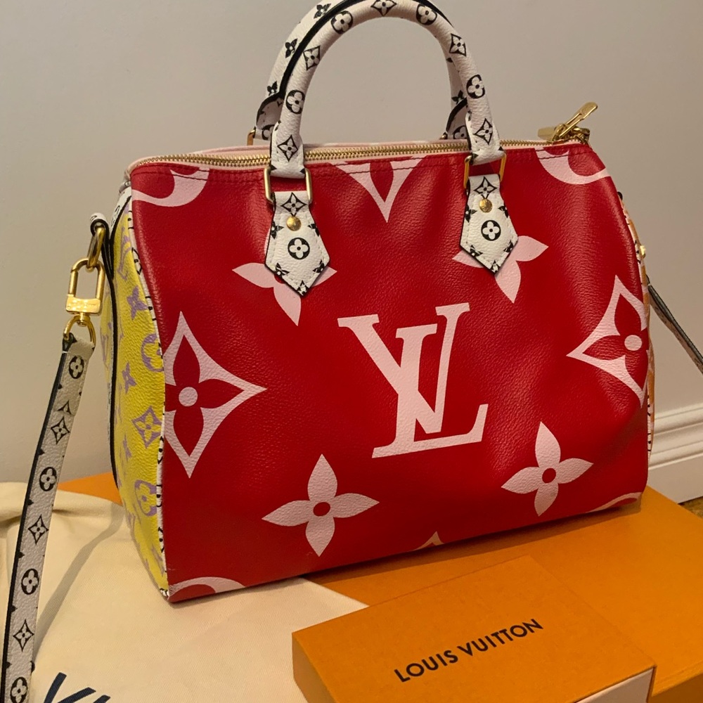 Louis Vuitton Speedy 30 Giant
